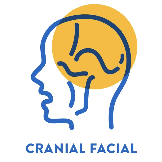 PTS Home Icon Cranial Facial